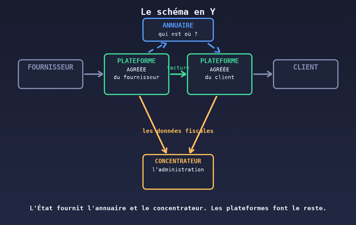 Le schéma en Y de la réforme
